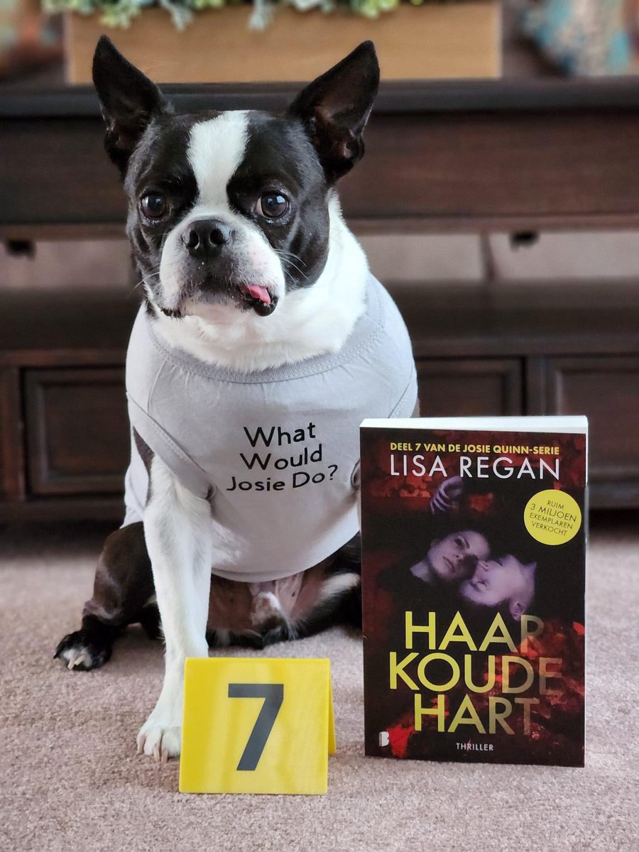 Mr. Phillip showing off the Dutch translation of Detective Josie Quinn Book 7. Also, apparently gray is not slimming. 

#chroniclesofphil #authorsdog #bostonterrier #josiequinn #josiequinnseries