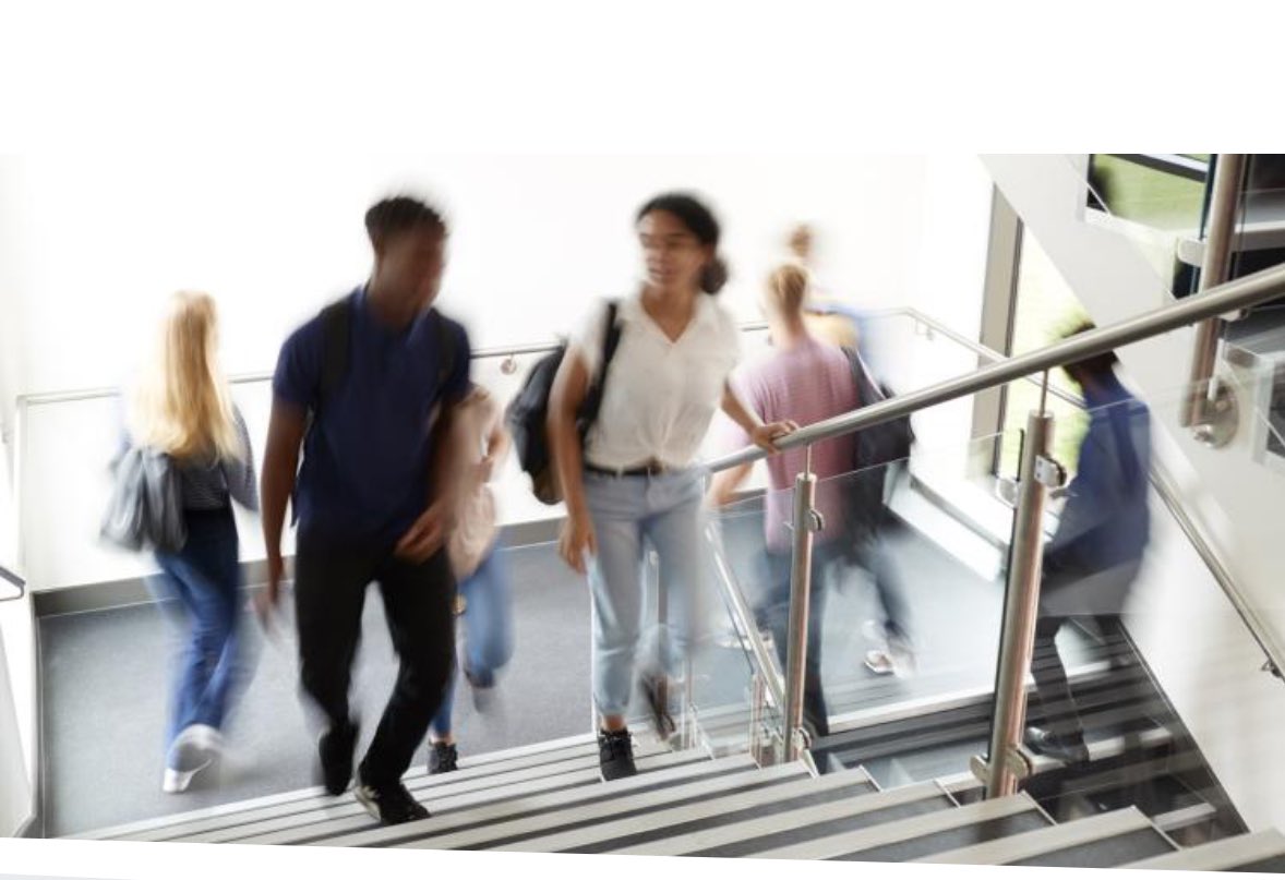 Sean Nosek tweet media