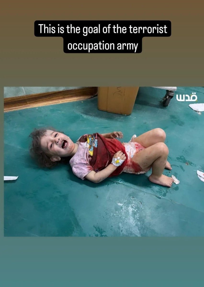 Emelia (@vikingwarior20) on Twitter photo 