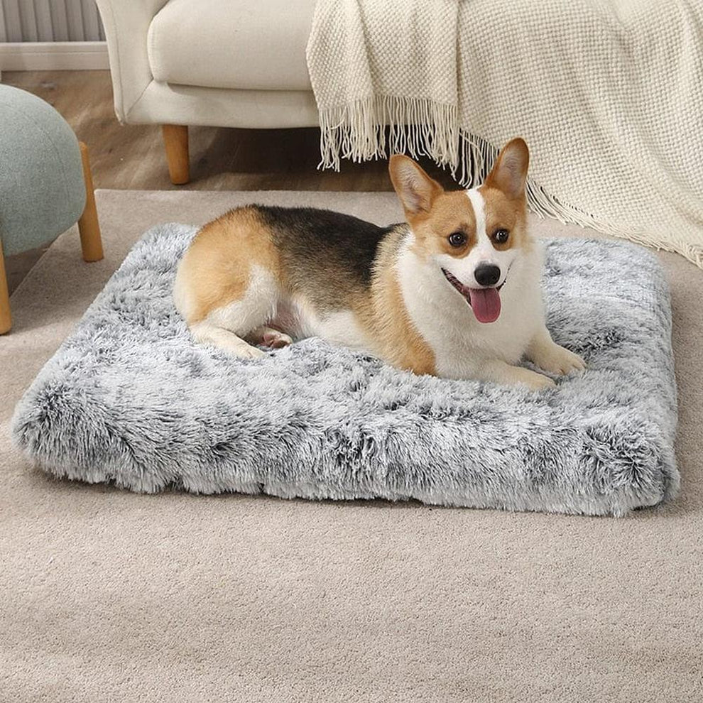 Welcome spring with Furry Fields! 🌷

Elevate your pet's rest with our cozy, durable dog beds. Comfiest Memory Foam Dog Bed, provides the best Orthopedic Dog Bed Support. 🐕💤

#SpringIntoComfort #FurryFieldsComfort #DogBedDreams #BloomWithFurryFields #PawsAndRelax.