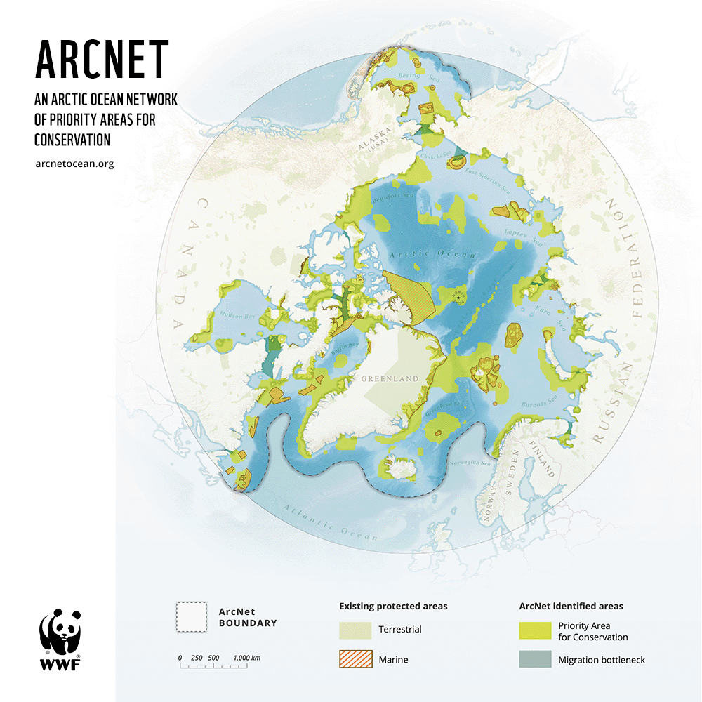 WWF_Arctic's tweet photo. How can we help safeguard #Arctic biodiversity? ๐ค
#ArcNet, a framework for large-scale marine conservation, could help. It could also help governments fulfil their #30x30 commitments. Win-win!
Outlined in a new open access paper in @npjOceanSustain ๐
https://t.co/JYgdmJGkZ5 https://t.co/gAYtZAkOZe