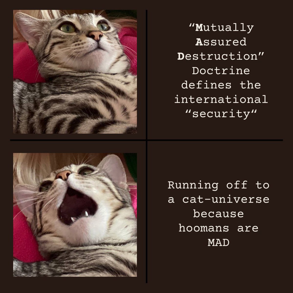 I have a cat Unika and that's her debut in Nuke Meme World. Gentle  reminder: nuclear war is bad for kittens. 🐈, image size:1200x1200