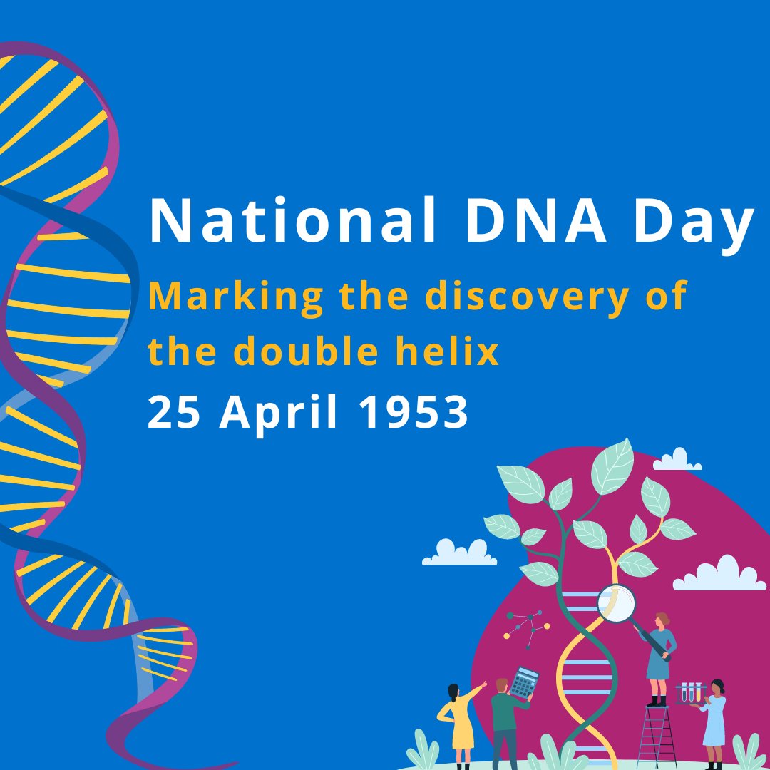 #NationalDNADay commemorates the successful completion of the Human #Genome Project in 2003 and the discovery of DNA's double helix in 1953. #Genomics #GenomicMedicine