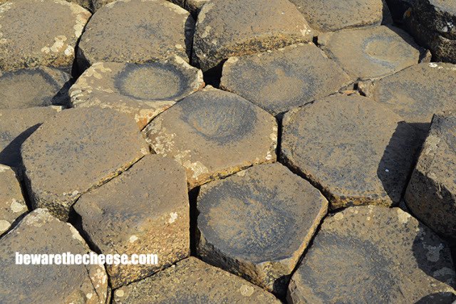 The rocky coast of #NorthernIreland at the #GiantsCauseway. A daily photo from my archives.
bewarethecheese.com #photography #travel #europe #ireland