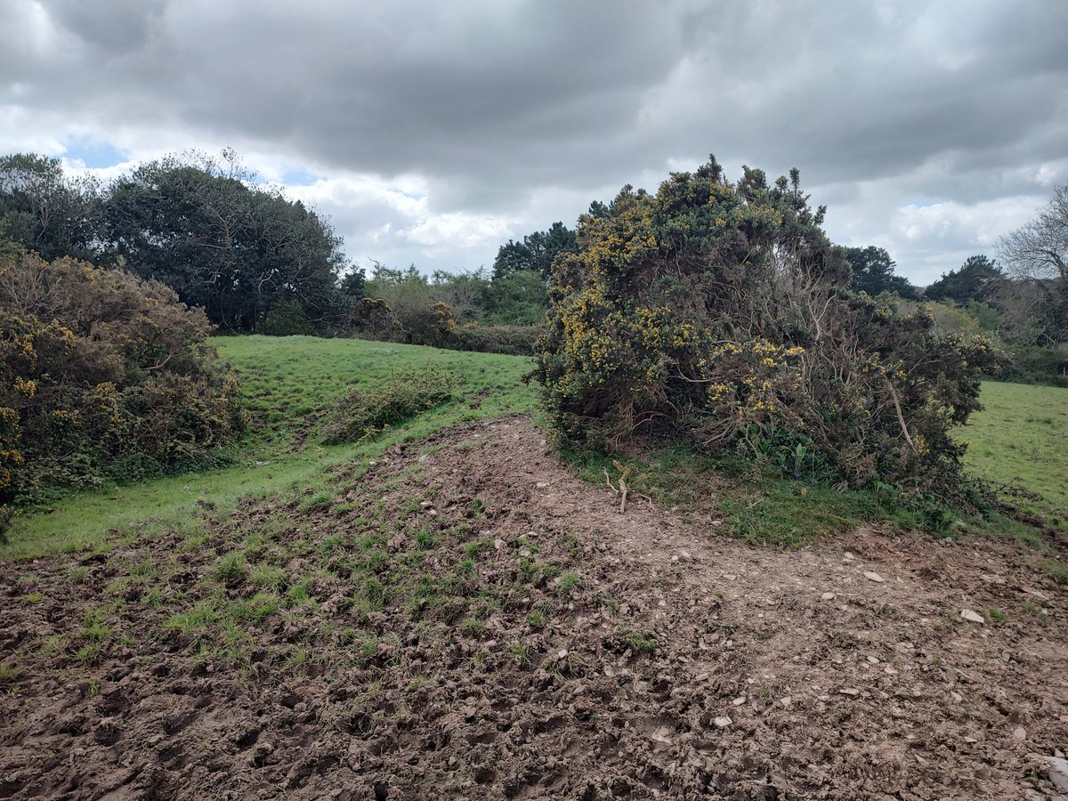 Walking the Tresillian River around Saint Clement in Cornwall there is a holy well, the Ignioc Stone with Ogham and Latin scripts, and the Cregou bowl barrow