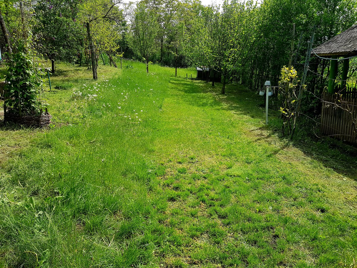 Sorin Grumazescu tweet media