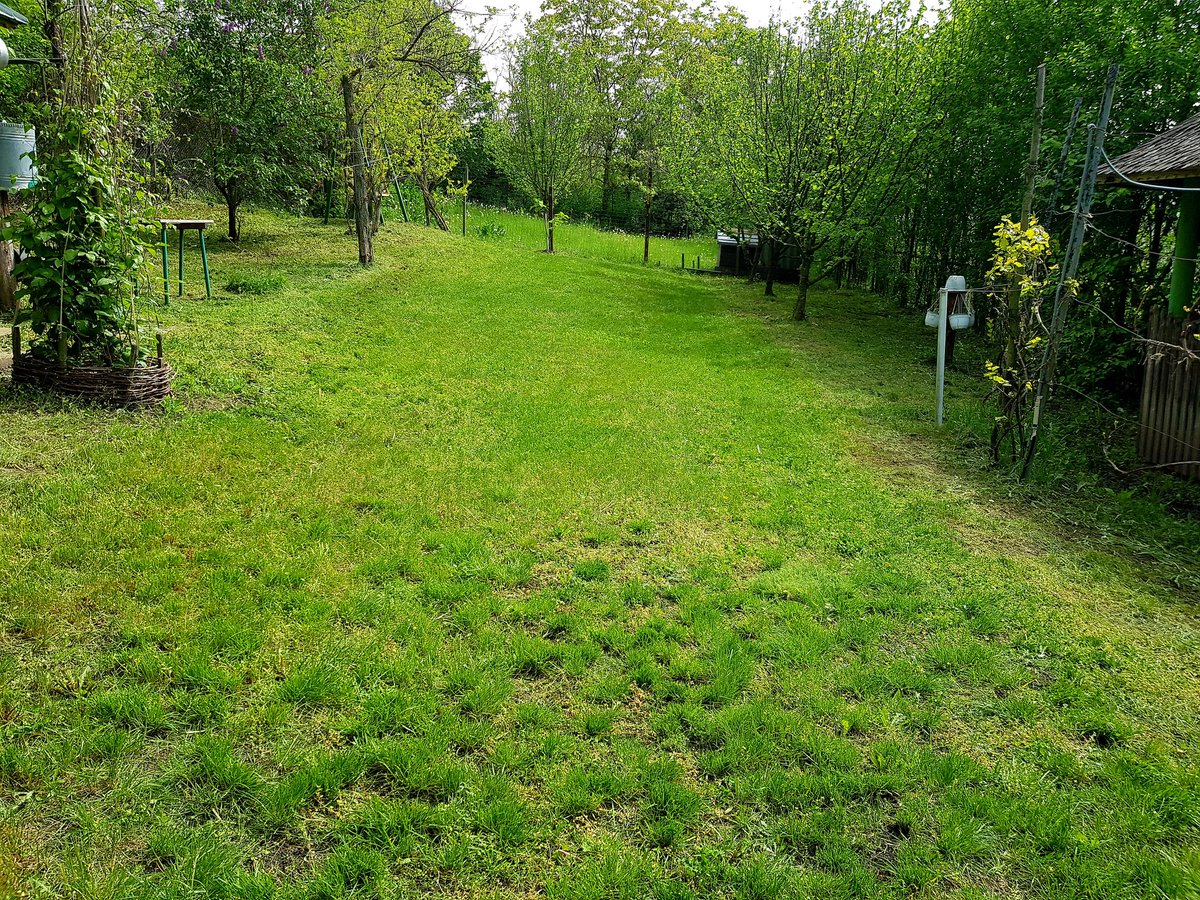 Sorin Grumazescu tweet media