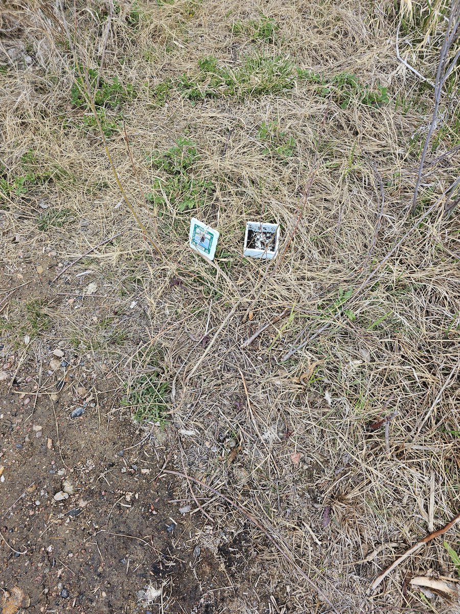 MonthlyEarthDay's tweet photo. Did another #touchplastic yesterday....and guess what it was?! More worm containers! 😡

@petgasmx is changing the world in plastics! Check them out!

@treegens @Plastiks_io @greenpillbrasil https://t.co/wkCqLX6pPL