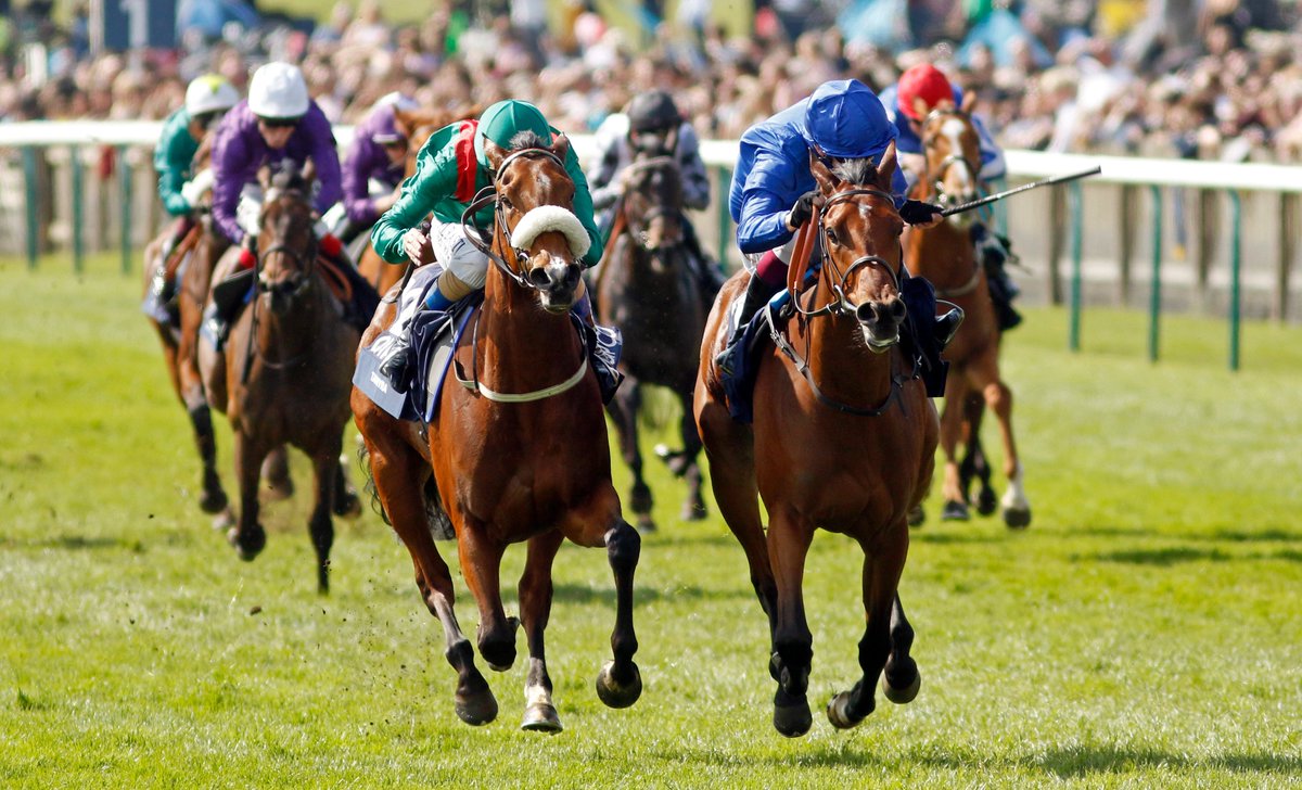 🇬🇧🇺🇸 Stable selections for the 2024 Europe and USA Godolphin Fantasy Stable League open tomorrow! Login or sign up to be part of the action, racing starts on Friday 3 May🏇 club.godolphin.com | #ClubGodolphin