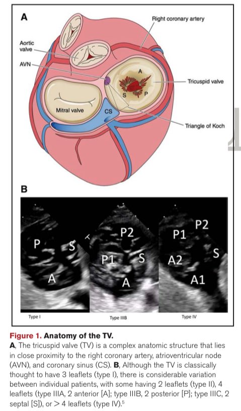 GilbertTangMD tweet picture