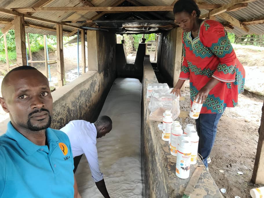 Recharging Kyepaka’s dip tank with SANGASUPA.

#SANGA 
#sangasupa 
#animalhealth