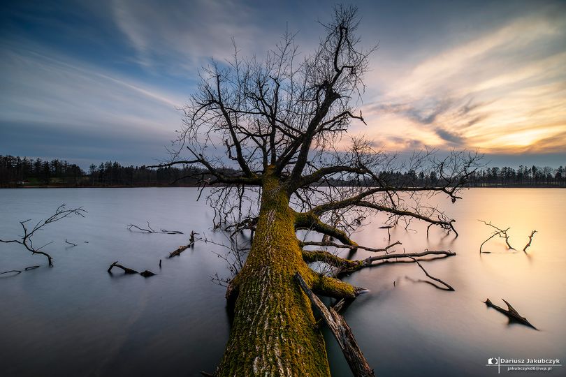 Dzień dobry😊„Zbieraj wspomnienia, pozostawiaj jedynie ślady.“
🪶Chief Seattle
📌Jezioro Cetuńskie Wielkie
📸Dariusz Jakubczyk
@natgeopl #Poland @MeteoGrodziec @MeteoprognozaPL @tvnmeteo @PogodaMeteo @IMGWmeteo @klimatyczna @_JooKo #traveling #visitpoland #polskanaweekend #travel