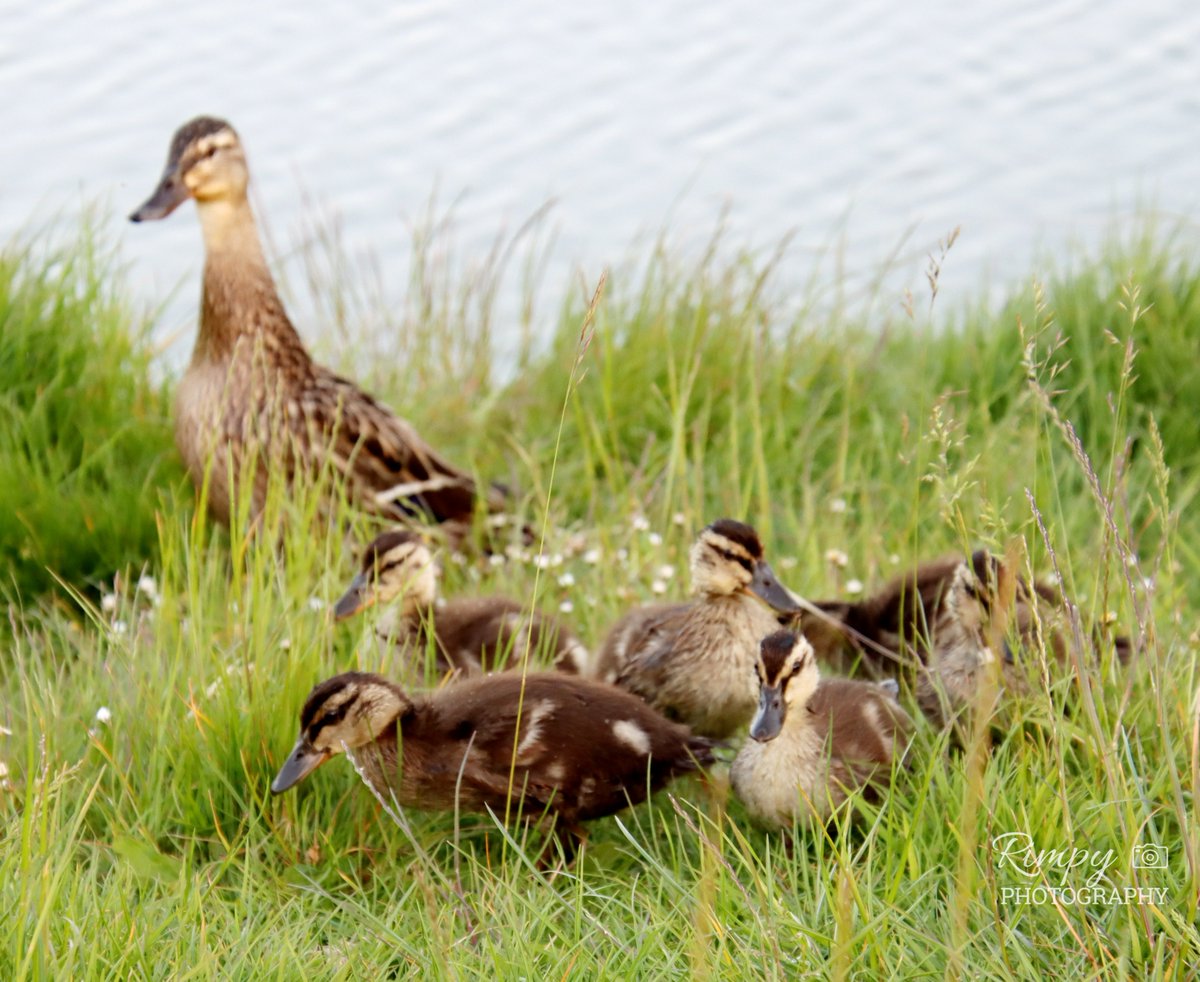 📢 Our latest newsletter just dropped! 🎉 
Get all the latest updates and exclusive content delivered directly to your inbox. 
standrews-pc.gov.uk/newsletter/
Don't miss out, sign up now! 📧 
#Newsletter #SignUp #StayUpdated