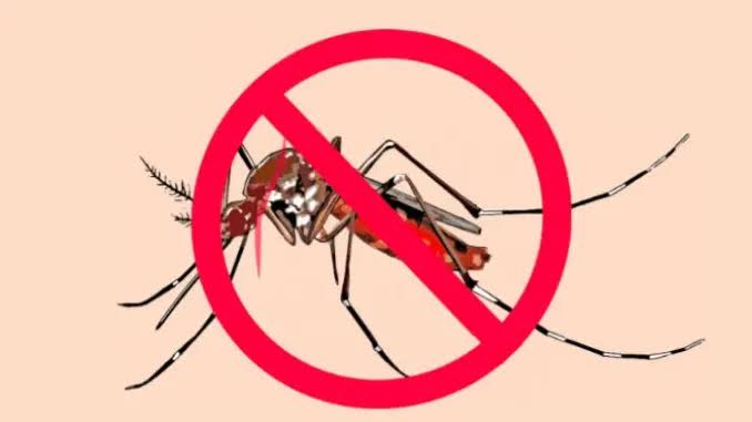 World Malaria Day: Nigeria Still Dirty, Not Environmentally Ready To End Malaria – #EndMalariaInNigeria | Sahara Reporters bit.ly/3UhKReq