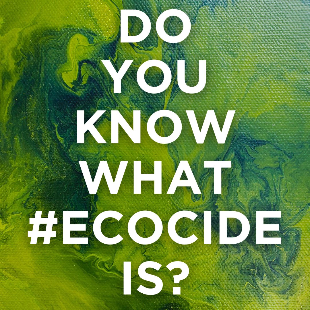 Currently, individuals are not held criminally accountable when decisions lead to devastating environmental damage. #Ecocidelaw removes the ability to shelter behind a corporation/gov. Help us criminalise #ecocide. Donations DOUBLED: donate.biggive.org/campaign/a0569… #StopEcocide