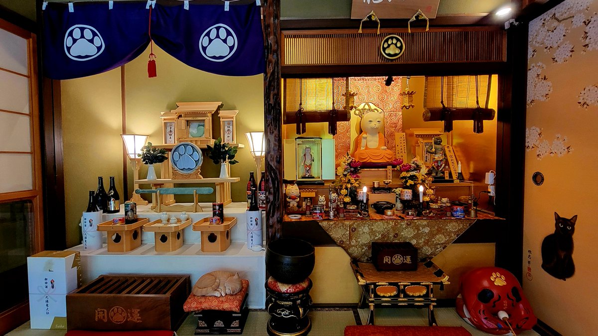 猫猫寺 