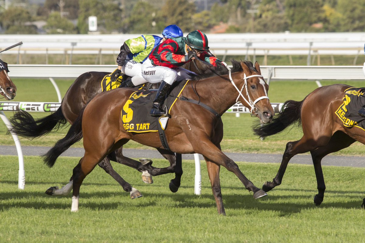 Five Fast Facts about the 2024 Australasian Oaks Group One: 1. A 2000m race for 3YO fillies. 2. First run in 1982 and won by Australian Horse of the Year - Rose of Kingston. 3. The prizemoney has doubled from $500K in 2023 to $1M in 2024. 4. Egg Tart (pictured) a 40K yearling…