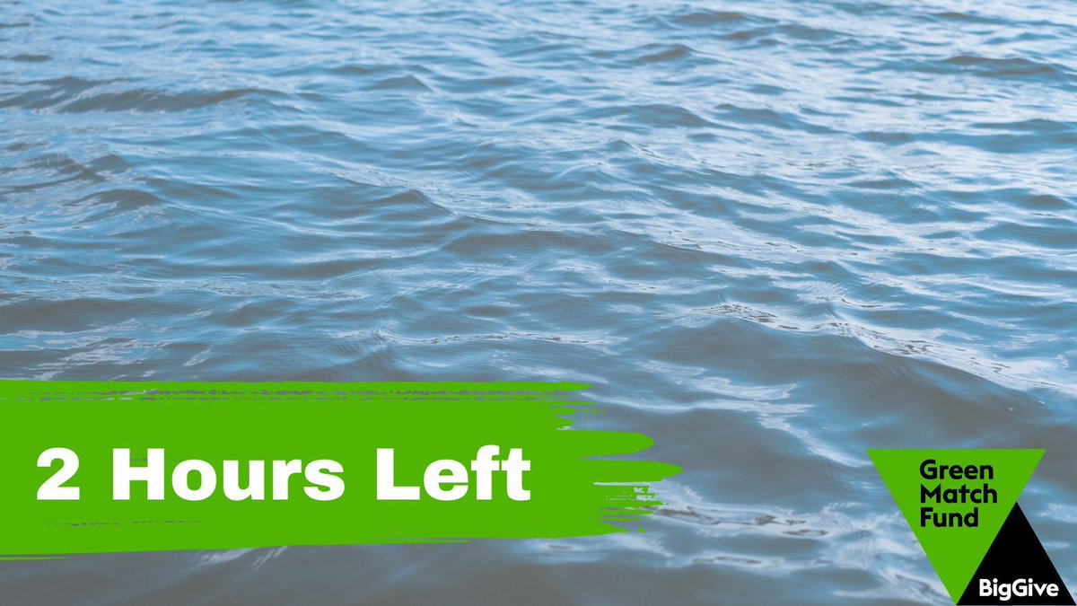 Thank you to everyone who has helped us to reach our fundraising target! 🎉 There are still 2 hours left to donate to support our rivers; your donations will no longer be matched, but will still help us to connect people with their rivers. Donate: buff.ly/49nbUuI