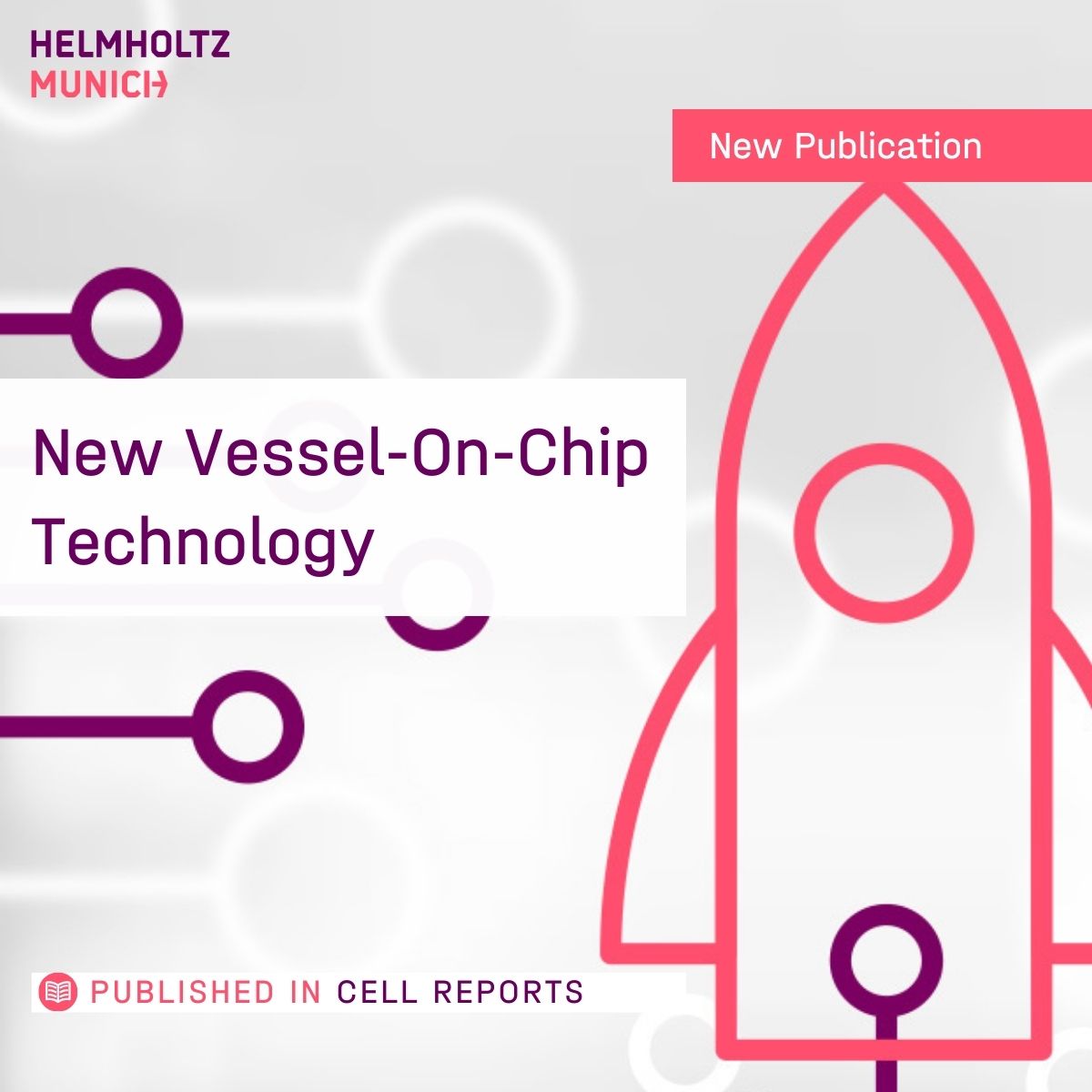 New #OrganOnChip Technology Prof. Matthias Meier & team @PioneerCampus at #HelmholtzMunich developed a cutting-edge microfluidic vessel-on-chip platform for leveraging human #stemcells. An innovation for #PersonalizedMedicine: 👉t1p.de/1r54i #VascularResearch