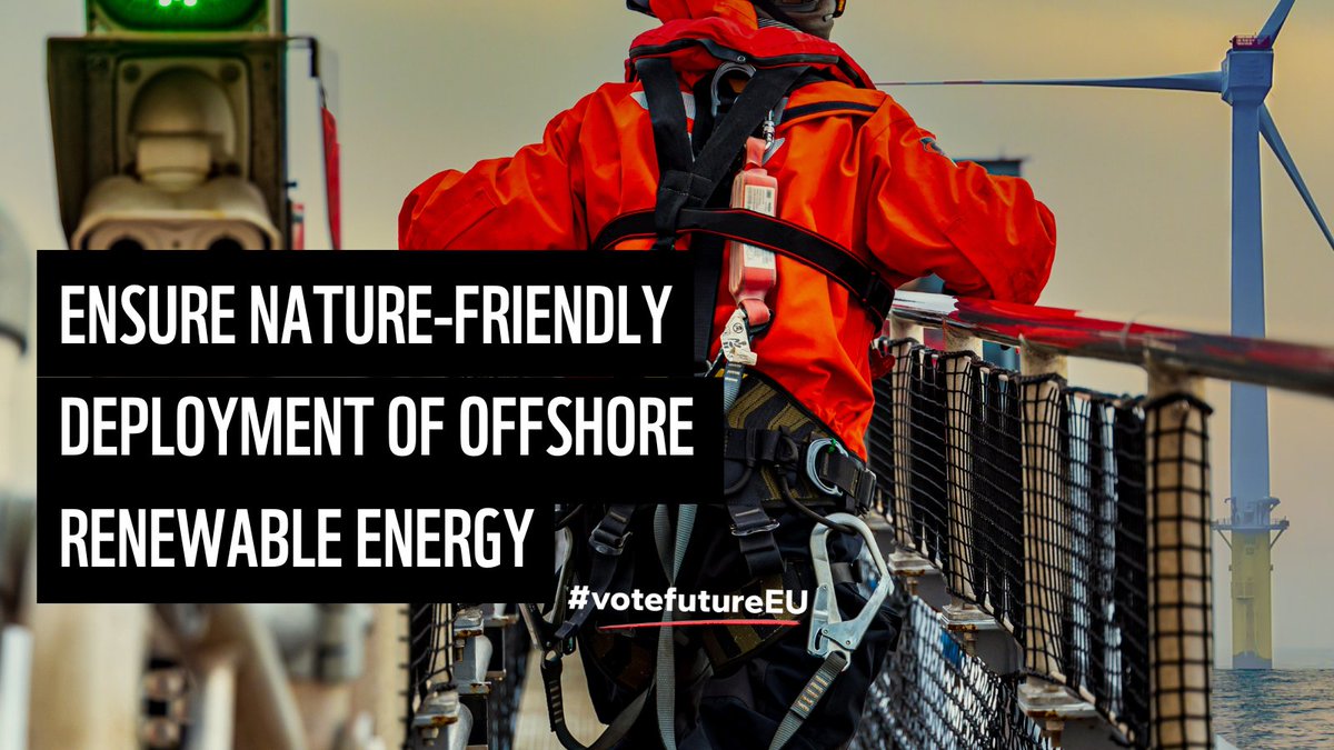 Europe is the fastest-warming continent 🌡️! It's time to get off #FossilFuels

All 👀 are on our seas for wind energy to fulfil the #EUGreenDeal. We have the right tools and tech for a #JustTransition that grows employment, delivers energy security, and balances nature too.

No