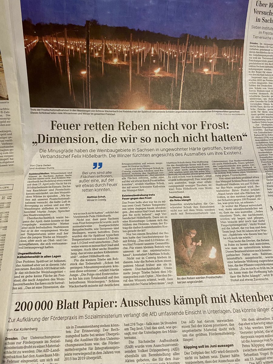 Gerade Thema am Rande der @DIHK_News Ausschuss-Tagung in Leipzig @LVZ: 90% Ernteausfall bei Winzerinnen und Winzern in Sachsen und Sachsen-Anhalt wegen Frost befürchtet. Dramatisch! @VDP_Estates @SachsenDe @sachsenanhalt 🍷😳