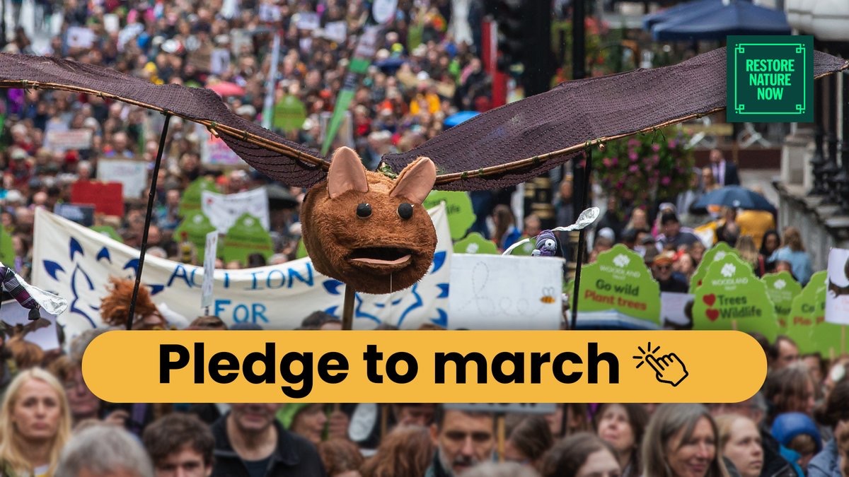 Don’t stand by and let political opportunism ruin YOUR environment

Rather than row back on green reforms, politicians need to step forward with action now 💚

Join our #Nature2030 calls to restore nature & fight climate change👇

bit.ly/nature_2030