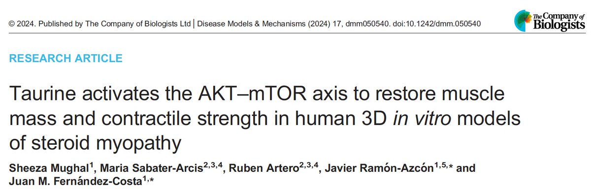 🚨Our latest work in collab with @GenomicsLab_UV : a functional 3D steroid myopathy model. 🦾💊🧫🔬Dexamethasone reduced muscle force and myotube size; taurine boosted strength via AKT–mTOR. Special thanks @SheezaMughal for your dedication. @IBECBarcelona doi.org/10.1242/dmm.05…