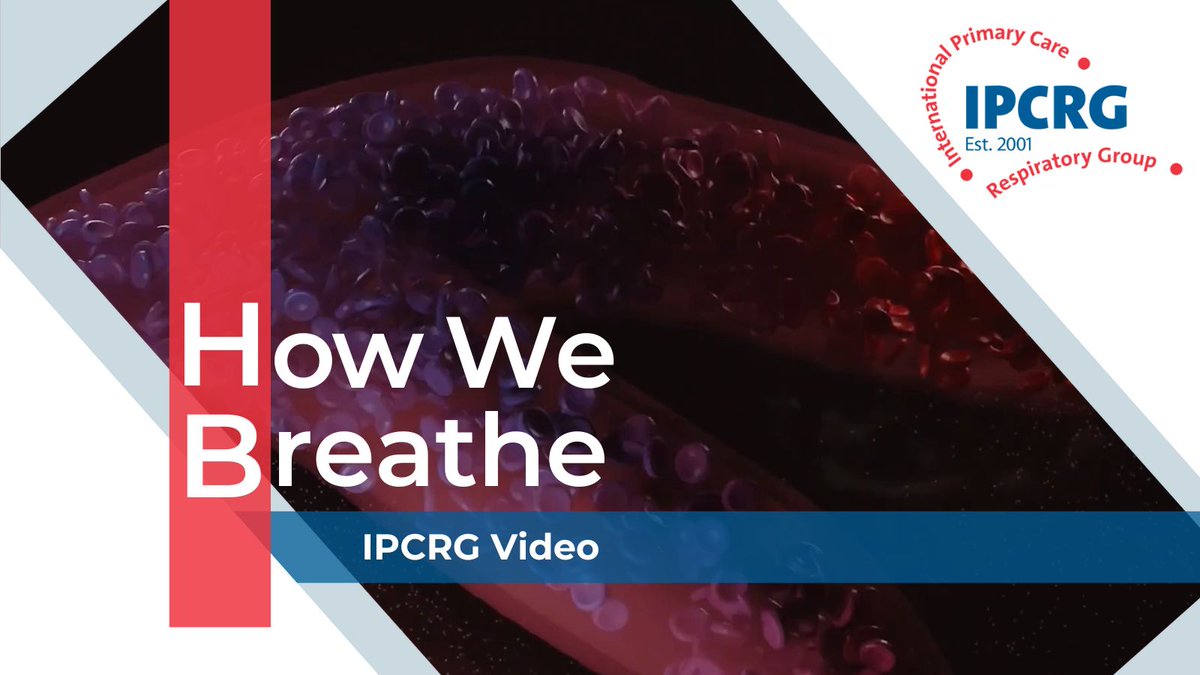 Watch our animated video to help patients improve their “breathing literacy.” It will help your patients understand how we breathe, how we get #breathless, and what happens to the good and bad particles that we breathe in. buff.ly/3RGQnEO @BTSrespiratory @GlobalHealthRe2