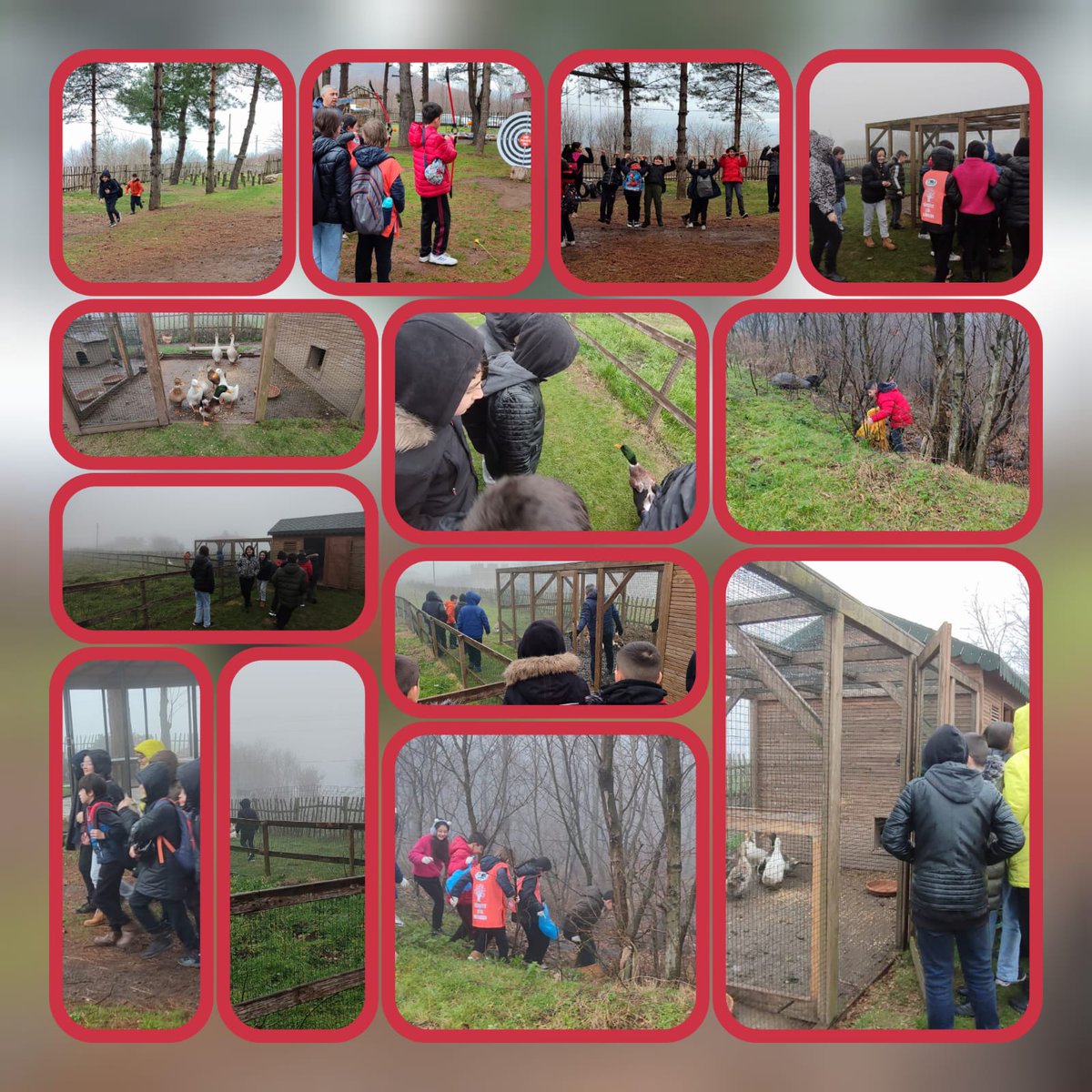 We visited #CanikOrmanOkulu for the #PeacewithNature activity. #eTwinning #etwinningDestek @23_ortaokuku @tretwinning #PeacewithNature