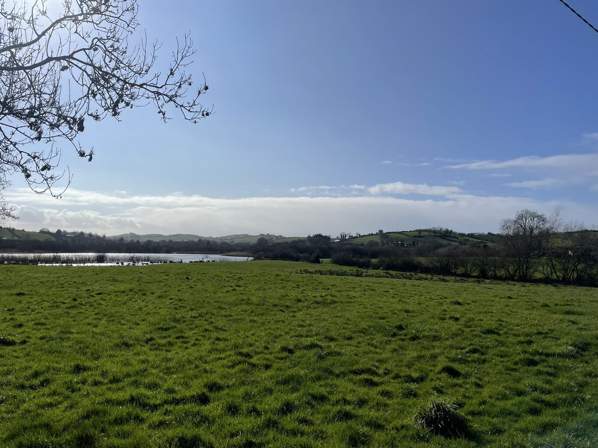 Consider the grass growing As it grew last year and the year before, Cool about the ankles like summer rivers When we walked on a May evening through the meadows To watch the mare that was going to foal. Consider the Grass Growing by Patrick Kavanagh #WorldPoetryDay