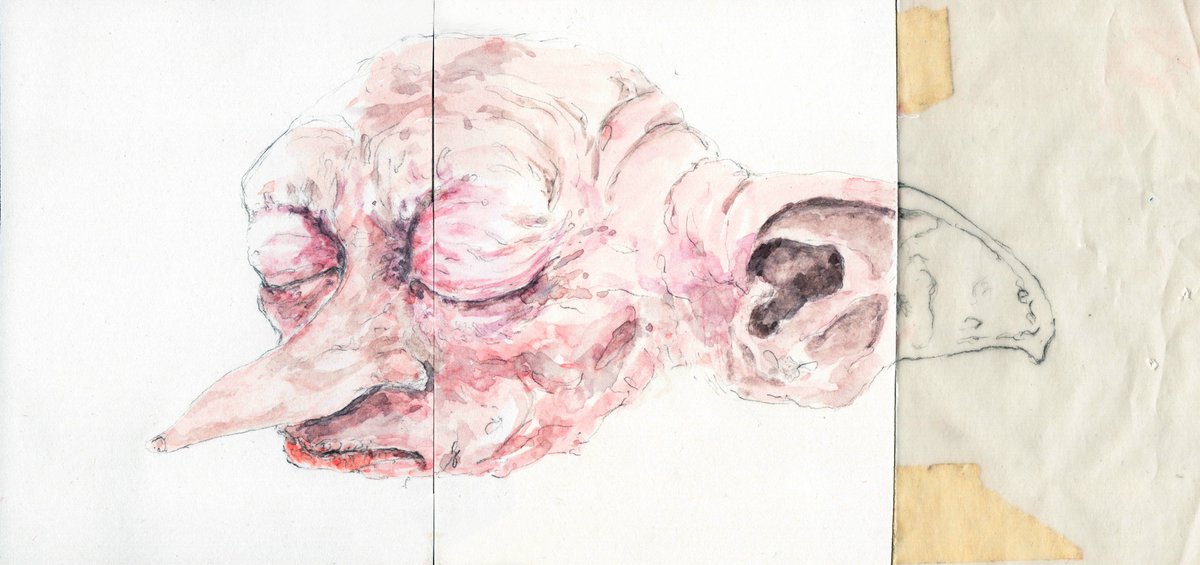 eloychaperon's tweet image. Gm everyone. Patched papers are real.

This image emerged as a result of Eloy&apos;s admiration for Dobby.