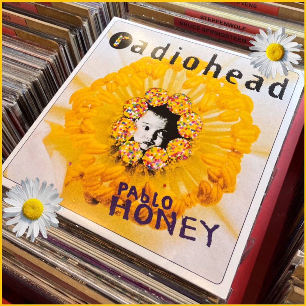 Pablo Honey est l’album qui introduit Radiohead comme le talent brut à suivre. Le groupe continuera à explorer des territoires sonores encore plus audacieux dans les albums à venir 🌼 #Radiohead #PabloHoney #vinyle #33T #disquaire #disquaireindependant #lyon