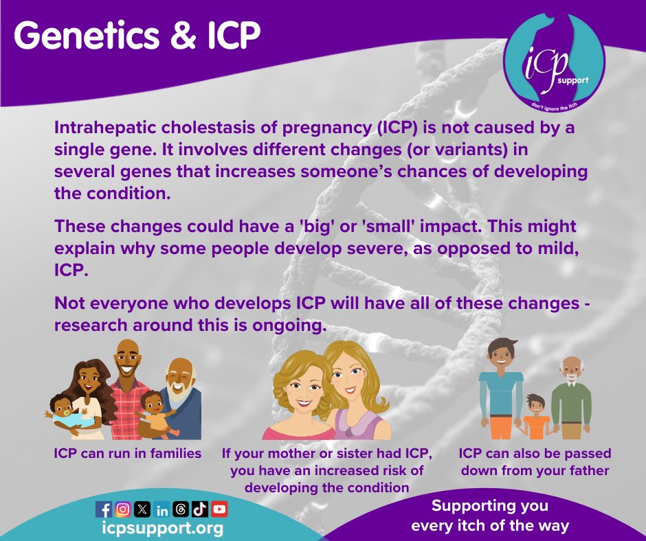 Intrahepatic cholestasis of #pregnancy (ICP) is a complex condition & is affected by your #genetics You have an increased risk of developing ICP if your mother/sister have had it, but it can be passed down from your father's side too bit.ly/ICPgenetics #LiverTwitter