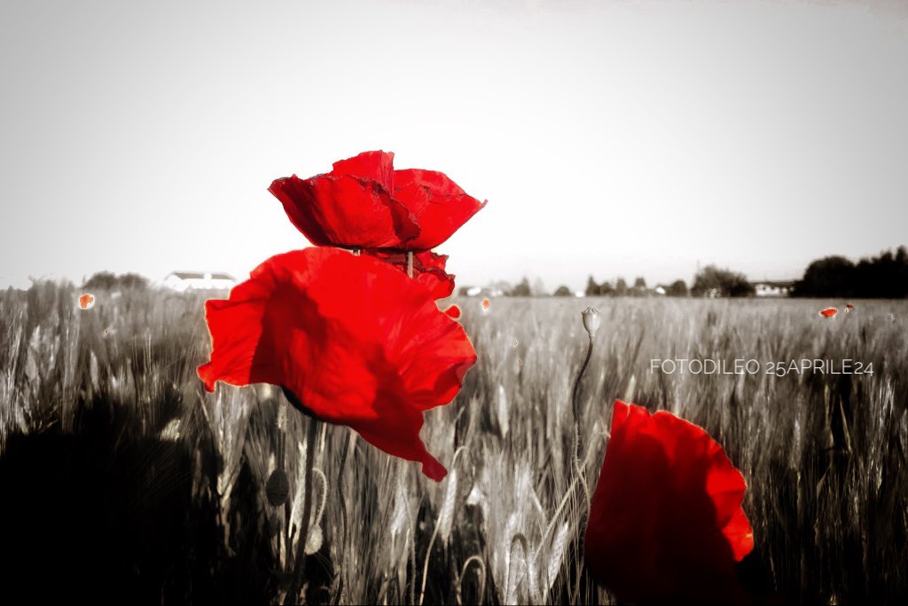 25 aprile per tutti!