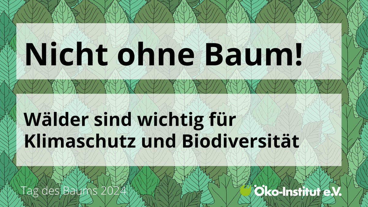 Wer den #Wald schützt, trägt zum #Klimaschutz und Erhalt der #Biodiversität bei. Denn Wälder speichern Kohlenstoff, sind Lebensraum und sorgen für nachwachsenden Rohstoff Holz. Wie sie geschützt werden sollten: oeko.de/magazin/nicht-… #TagdesBaums