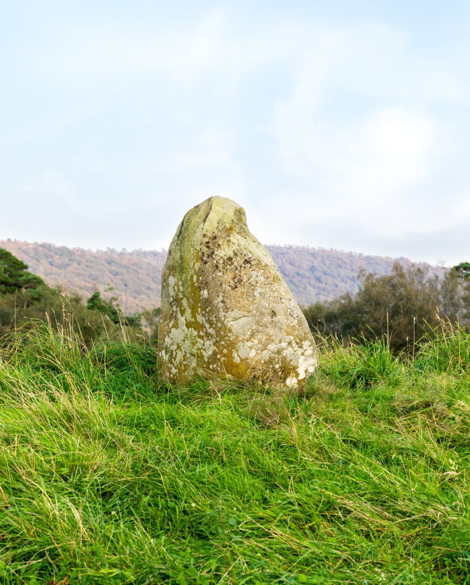 The 'Rusland Menhir', an standing stone outlier in the southern Lake District 🤩. With no other visible archaeology around, its age remains a mystery. However, there is a small mound / cairn underneath it, suggesting it may be prehistoric #archaeology #travel #lakedistrict