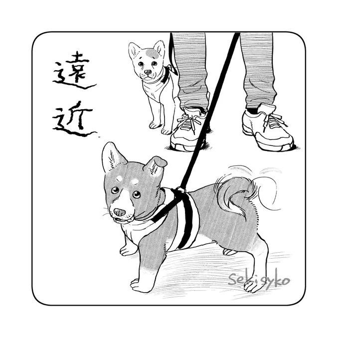 雑日記
股関節を手術してるので衰えないよう早朝歩くことがあるのだが、犬と散歩中の方によく会う。きょうだい犬を連れた方に何回か会ううちになんとなく犬の性格がわかってくるなどしてどっちも非常にかわいい血を吐くほどかわいい 