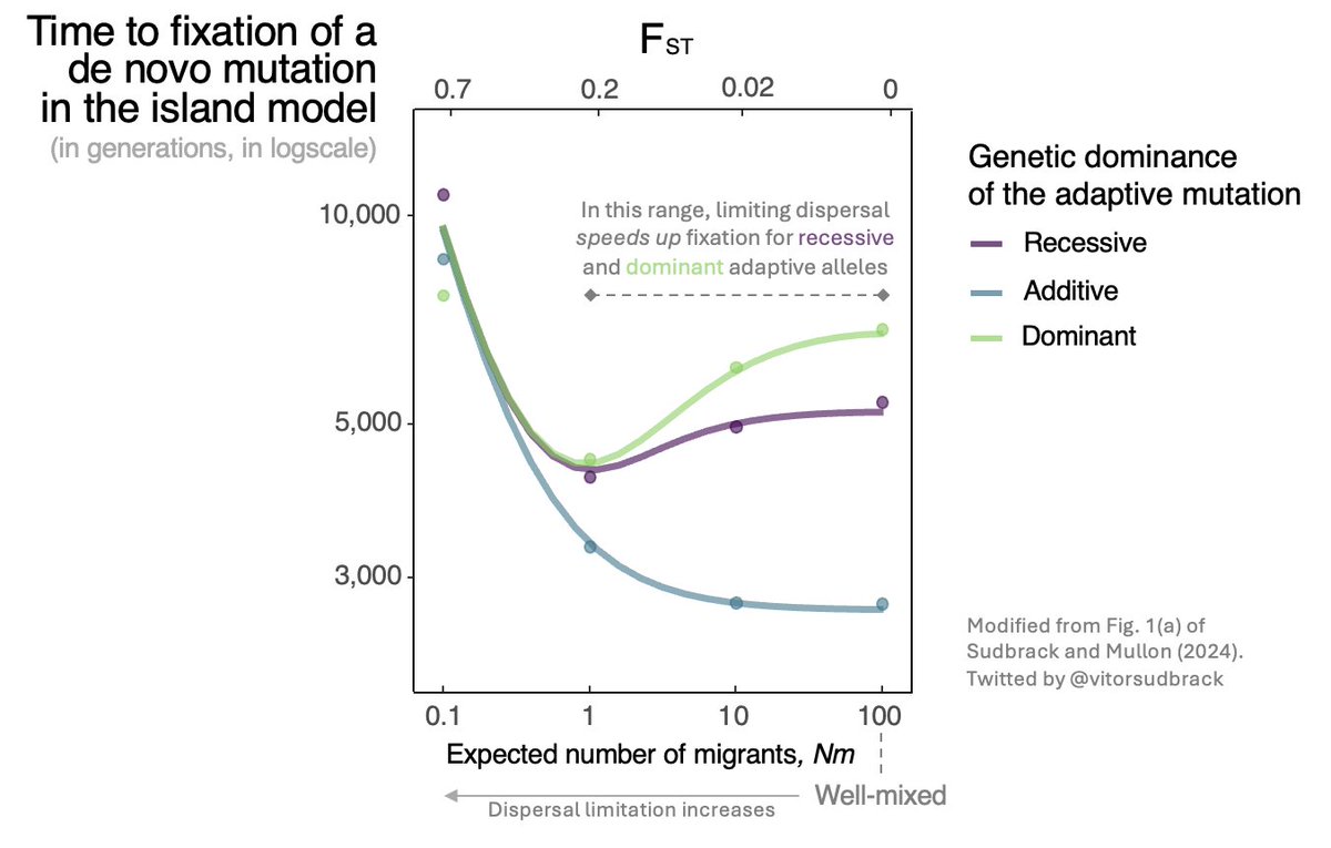 How does limited dispersal influence the substitution rate of adaptive alleles? @MullonDlm  and I look at this in our new study in Genetics: doi.org/10.1093/geneti… In contrast to previous findings, we show that adaptation can be faster under limited dispersal!