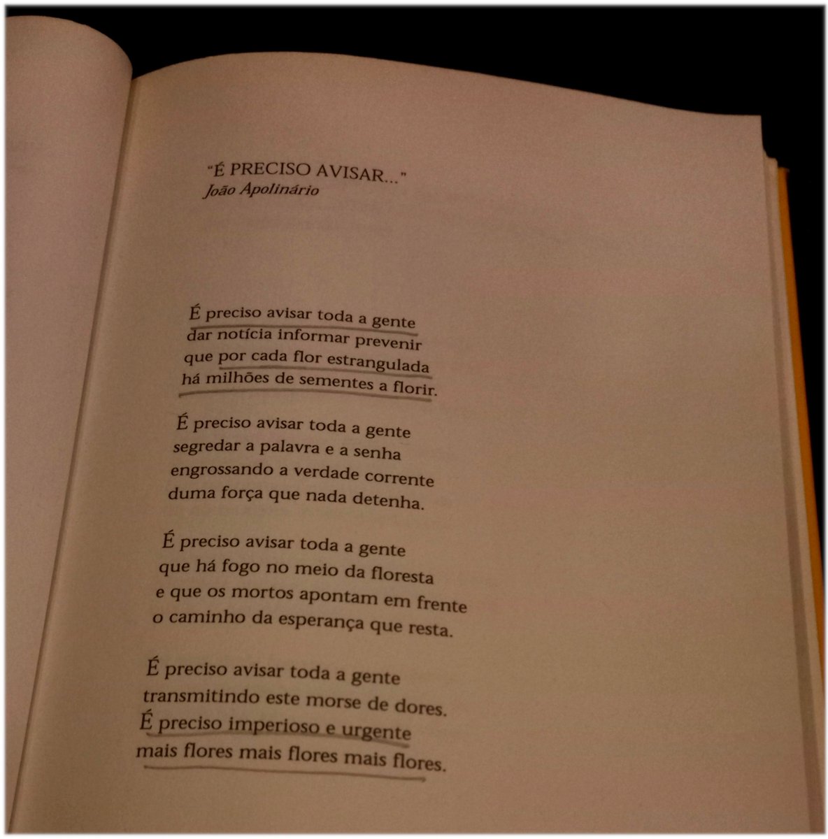 valentesms's tweet photo. A liberdade nunca é um bem garantido. Mais do que nunca, nestes tempos sombrios, é importante reforçar essa ideia. Que não esqueçamos o que foi. Como aconteceu. O que aprendemos. #25deabrilsempre Fascismo nunca mais! https://t.co/QJcxZzxPCz