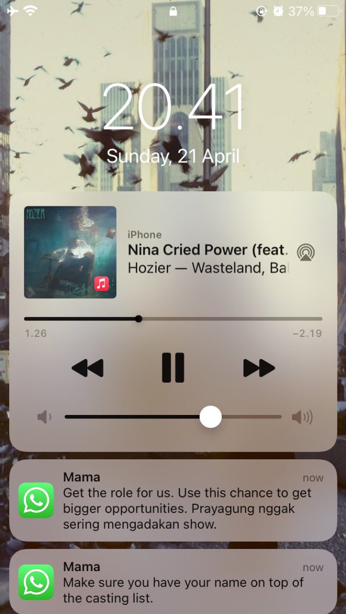 alikabjrot tweet media