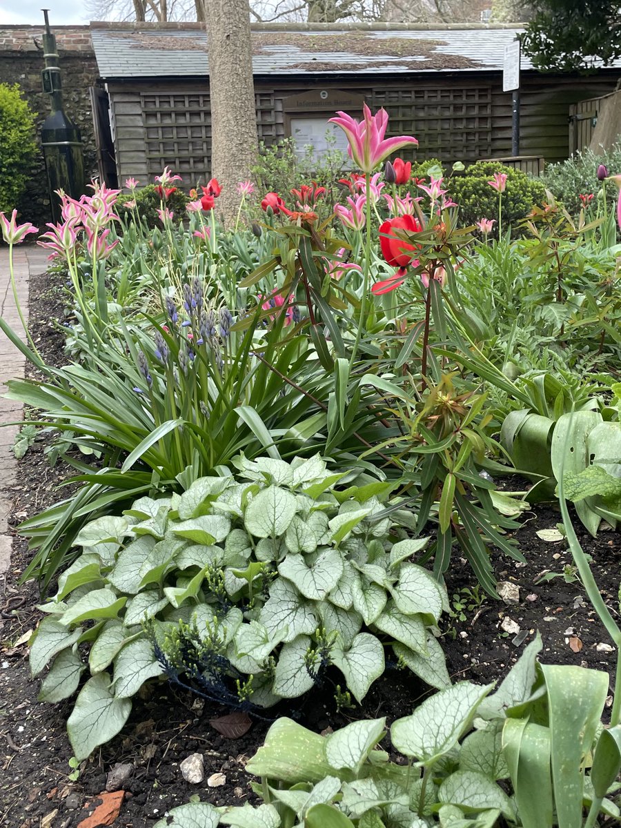 ⁦<a href="/TheVKPP/">VKPP Vulnerability Knowledge & Practice Programme</a>⁩ ⁦<a href="/educationgovuk/">Department for Education</a>⁩ working together on Working Together 2023 drop in session 230 people have joined us to talk about the revisions. Chaired by Richard Gill ⁦<a href="/ArthurTerryTSH/">Arthur Terry Teaching School Hub & SCITT</a>⁩ ⁦<a href="/CollegeofPolice/">College of Policing</a>⁩ ⁦<a href="/PoliceChiefs/">National Police Chiefs' Council (NPCC)</a>⁩