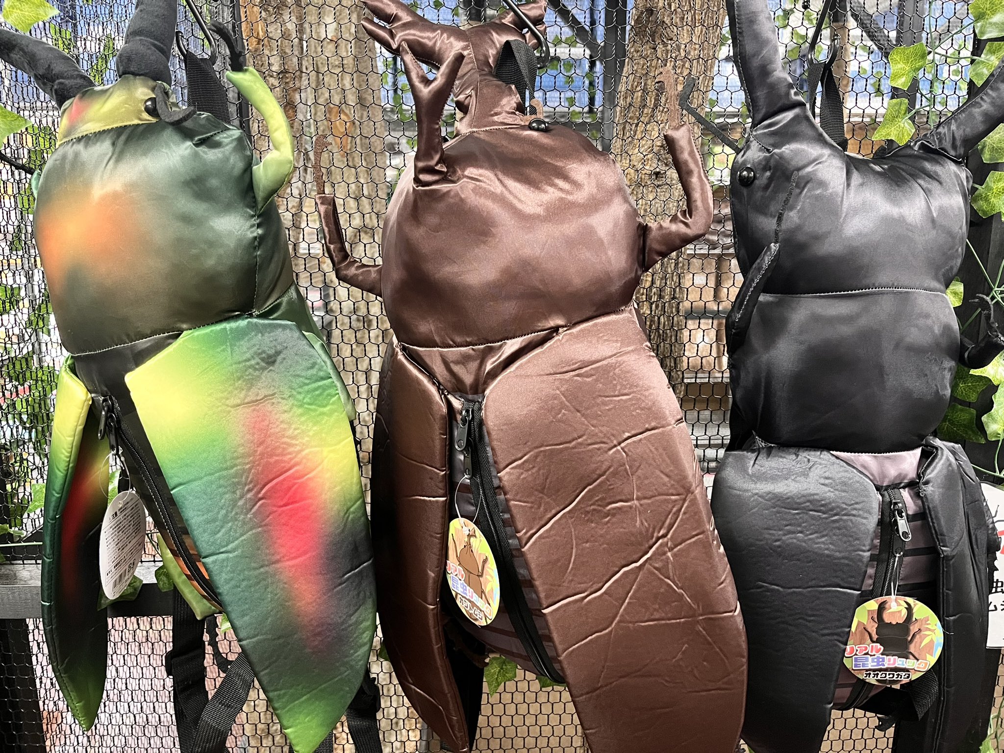 リアル昆虫リュック　3点セット リアル昆虫リュック （ぬいぐるみリュック） – INSECT SHOP KMY