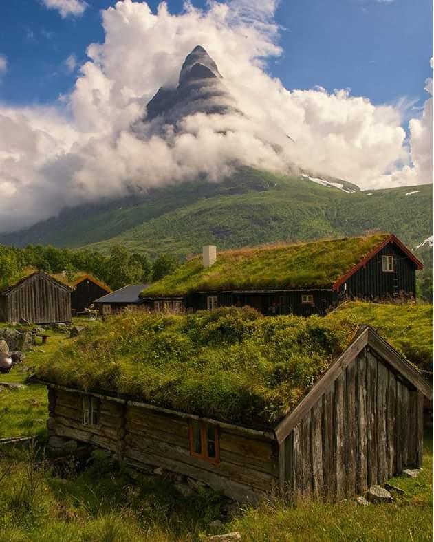 Traditional grass roofs at Rendølsetra, western Norway 🇳🇴.