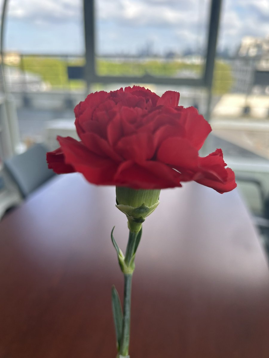 Viva a Democracia! Viva o 25 de Abril