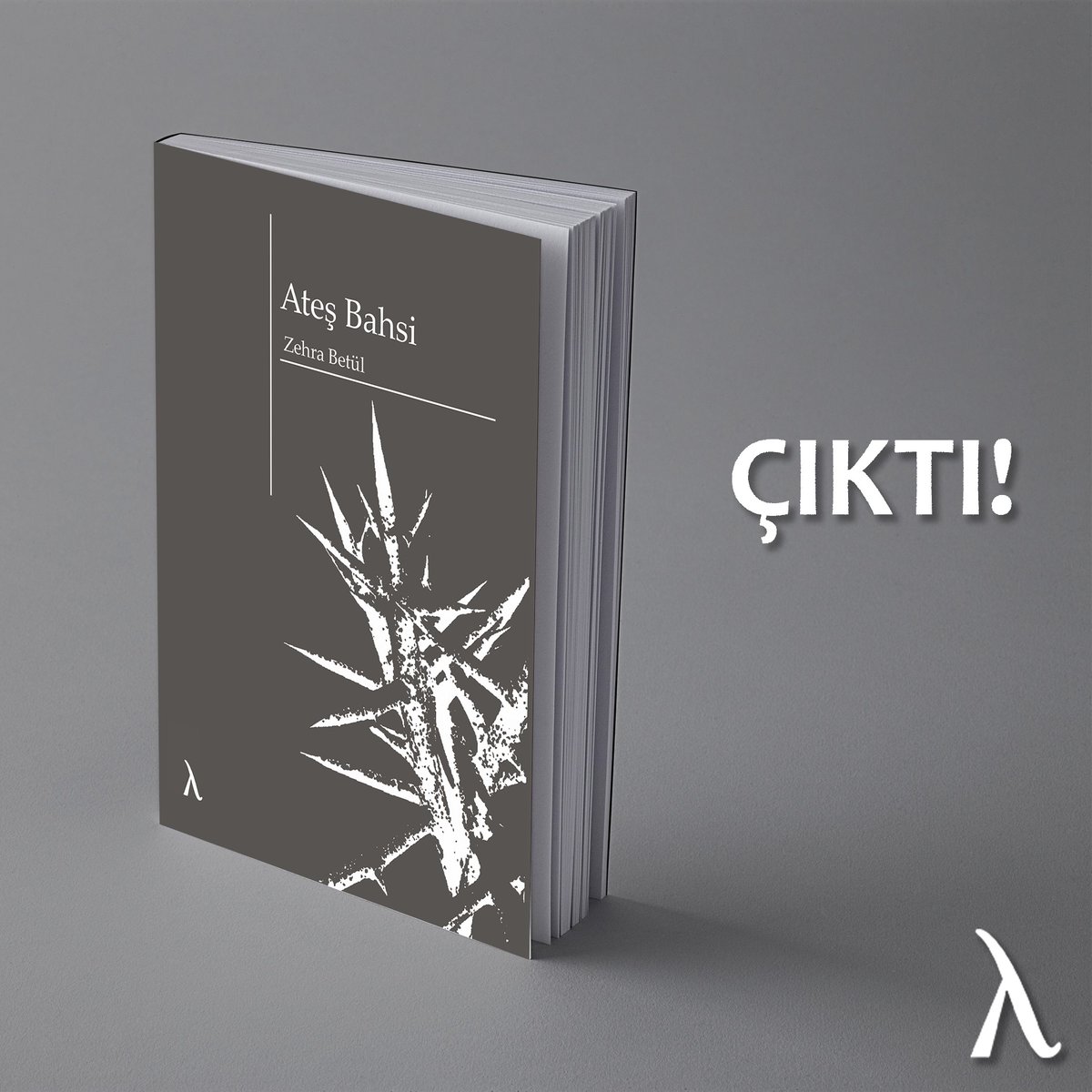 ÇIKTI! 

Zehra Betül, Ateş Bahsi

"sallansın dursun kamyon; sen gittiğimizi san, derler,
sen dokunulmadan kal, mısın, musun, Lars mısın
sanılır, mısın, dokunulmaz, sanıyorsun
Hımmm…
Ha ha ha!
sen yok mu sen."

Sipariş için link 👇

kitapyurdu.com/.../680944.htm…...

#zehrabetülyazıcı