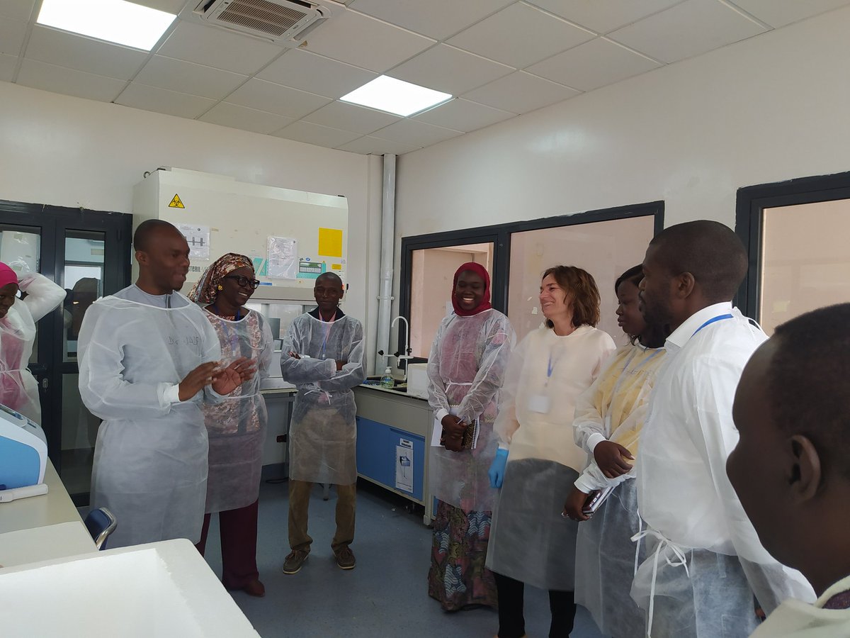 jenny_molloy's tweet image. That sense of relief when your training protocol works in a new lab, in a new country. Happy mCherry-Bst-LF expression &amp;amp; smiles all around @iressef in Dakar, Senegal at @ICGEB #EXPANDIA training
