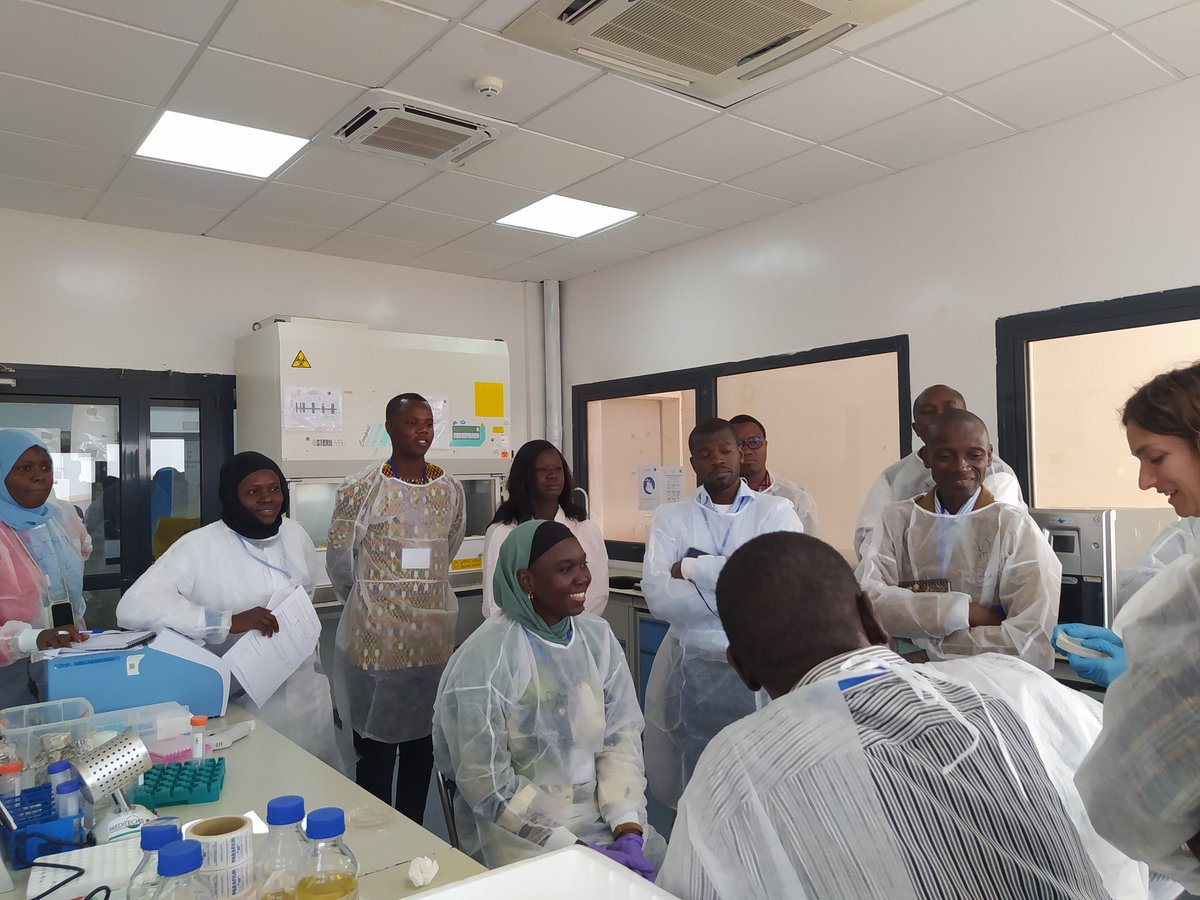 jenny_molloy's tweet image. That sense of relief when your training protocol works in a new lab, in a new country. Happy mCherry-Bst-LF expression &amp;amp; smiles all around @iressef in Dakar, Senegal at @ICGEB #EXPANDIA training