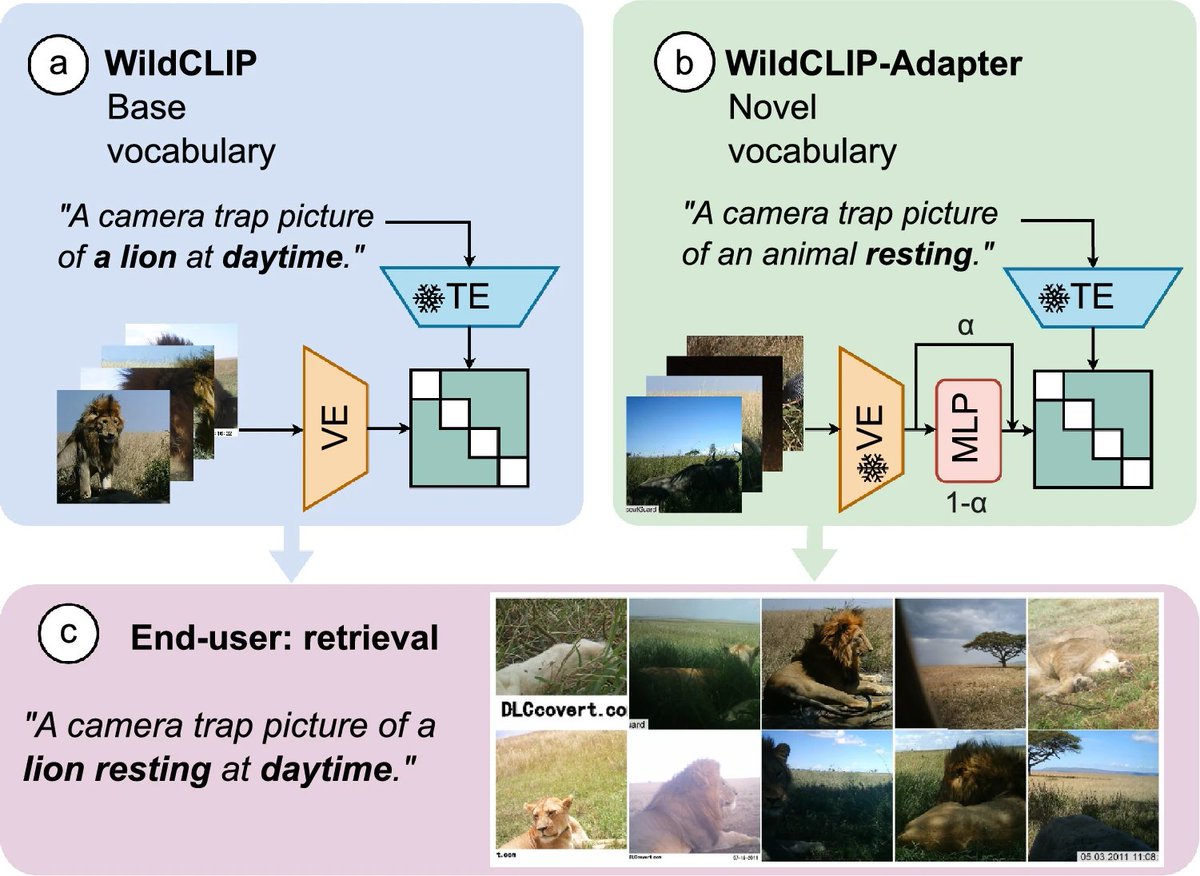WildCLIP is now published. The core goal is to ease the interaction between wildlife ecologists and their data using text. Here, we propose to adapt Vision Language Models to retrieve camera-trap events of interest. w/ @devistuia @amathislab @MarcCoru link.springer.com/article/10.100…