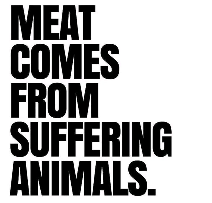 Don't eat animals. #GoVegan