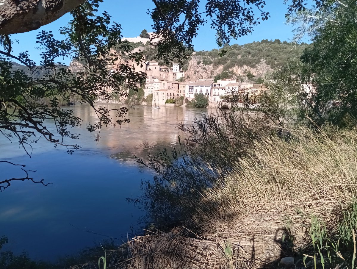 elscanterers's tweet photo. #miravet @miravet 
#turismorural #turisme 
#riberadebre #escapadas #casarural
#terresdelebro https://t.co/uF5nl2WFuI